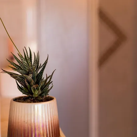 Cascina Cavenago Bed and Breakfast Ghemme