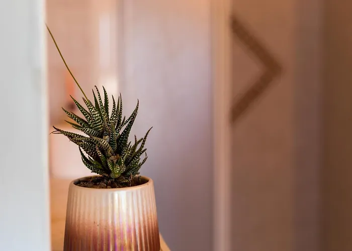 Cascina Cavenago فندق مبيت وإفطار Ghemme